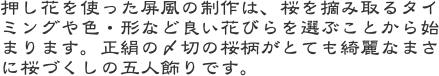 押し花を使った屏風の制作は、桜を摘み取るタイミングや色・形など良い花びらを選ぶことから始まります。正絹の〆切の桜柄がとても綺麗なまさに桜づくしの五人飾りです。