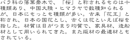 バラ科の落葉喬木で、「桜」と称されるものは十種類あり、中国大陸・ヒマラヤで数種知られるが、日本にもっとも種類が多い。古来「花王」と称され、日本の国花とし、古く