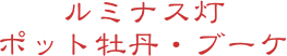 ルミナス灯