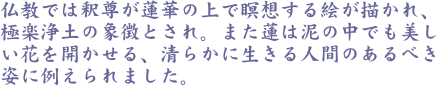 仏教では釈尊が蓮華の上で瞑想する絵が描かれ、極楽浄土の象徴とされ。また蓮は泥の中でも美しい花を開かせる、清らかに生きる人間のあるべき姿に例えられました。